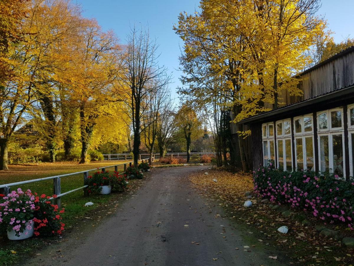 Oetzen Grosse, Helle Ferienwohnung Mit 2 Balkonen Auf Dem Bauernhof In Der Lueneburger Heide מראה חיצוני תמונה