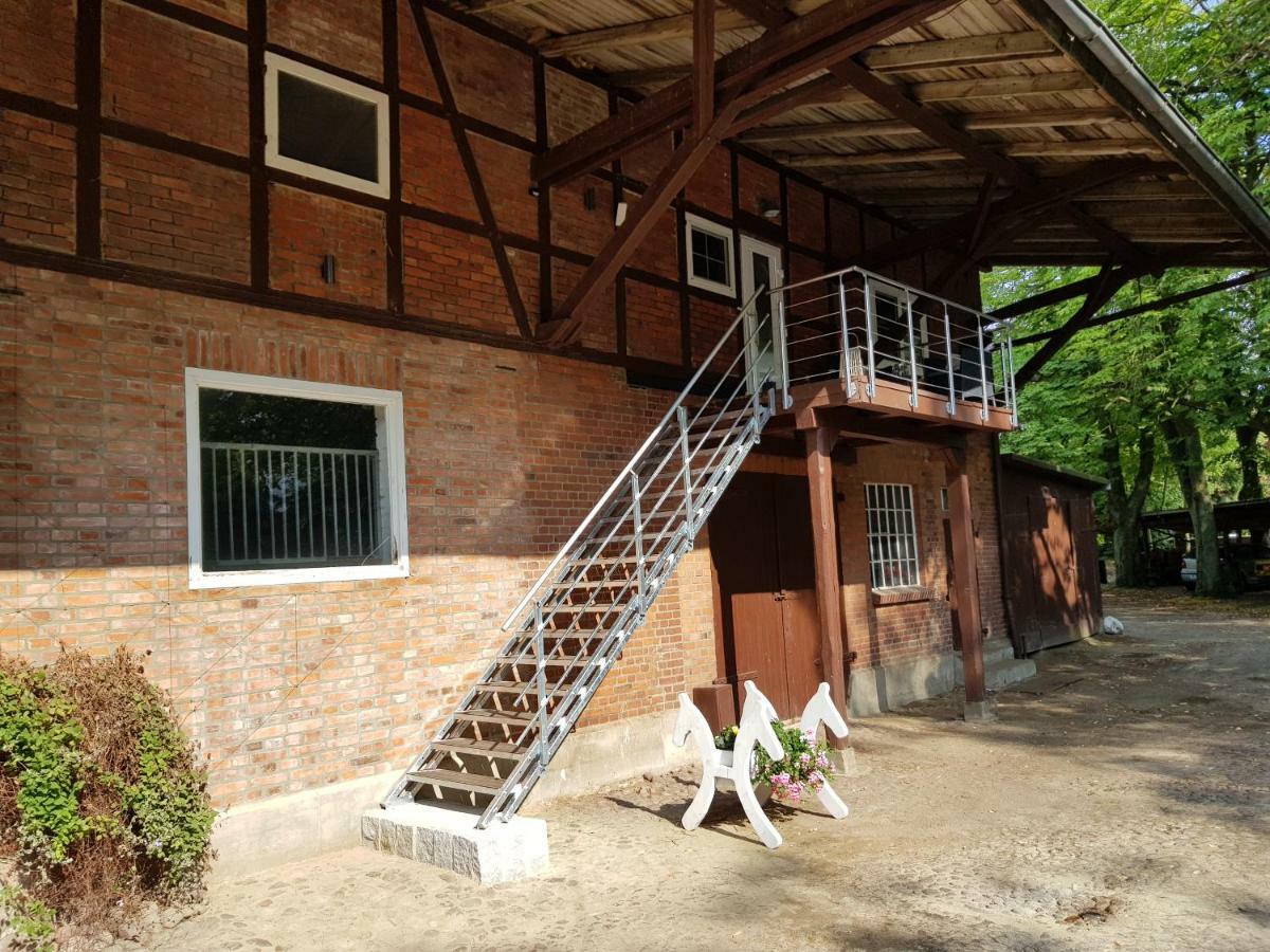 Oetzen Grosse, Helle Ferienwohnung Mit 2 Balkonen Auf Dem Bauernhof In Der Lueneburger Heide מראה חיצוני תמונה